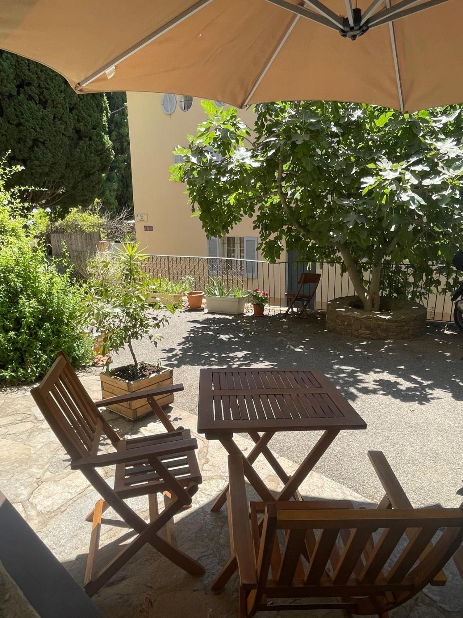 Cosy Studio - Place Du Figuier 博尔马斯·莱斯·米默萨斯 外观 照片